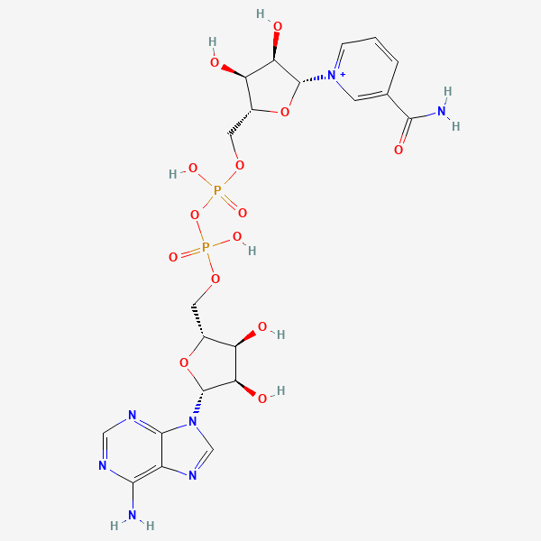 2D chemical structure of NAD+ (Nicotinamida adenina dinucleótido)